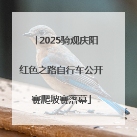 2025骑观庆阳红色之路自行车公开赛爬坡赛落幕