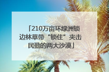 210万亩环绿洲锁边林草带“锁住”夹击民勤的两大沙漠