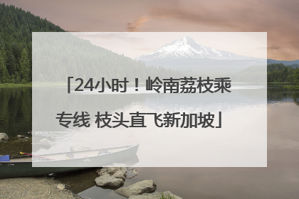 24小时！岭南荔枝乘专线 枝头直飞新加坡
