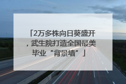2万多株向日葵盛开，武生院打造全国最美毕业“背景墙”