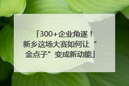 300+企业角逐！新乡这场大赛如何让“金点子”变成新动能