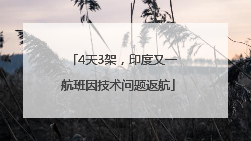 4天3架，印度又一航班因技术问题返航