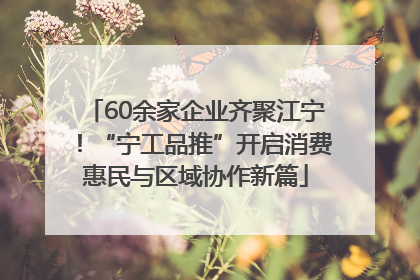 60余家企业齐聚江宁！“宁工品推”开启消费惠民与区域协作新篇
