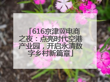 616京津冀电商之夜：点亮时代空港产业园，开启永清数字乡村新篇章