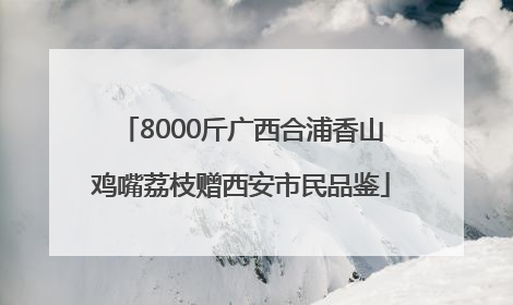 8000斤广西合浦香山鸡嘴荔枝赠西安市民品鉴